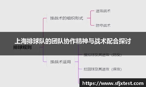 上海排球队的团队协作精神与战术配合探讨