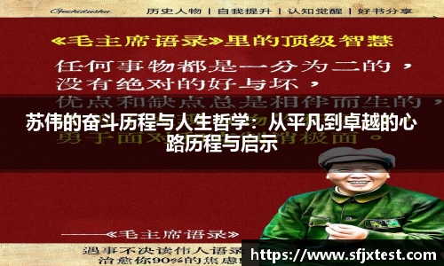 苏伟的奋斗历程与人生哲学：从平凡到卓越的心路历程与启示